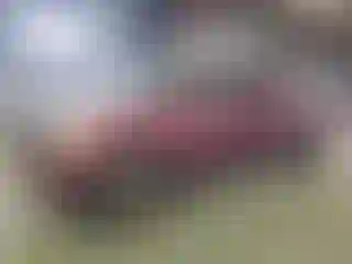 Vehicle Image- 2005 Toyota Tundra