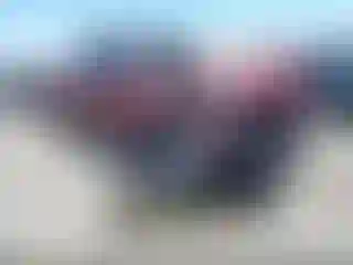 Vehicle Image- 2005 Toyota Tundra