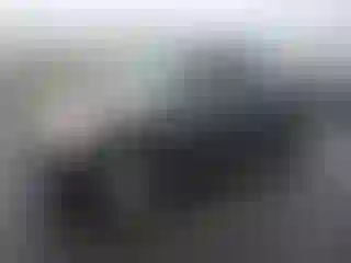 Vehicle Image- 2006 Toyota Tundra