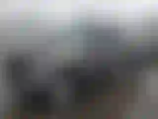 Vehicle Image- 2004 Toyota Tundra