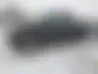 Vehicle Image- 2005 Toyota Tundra