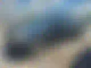 Vehicle Image- 2004 Toyota Tundra