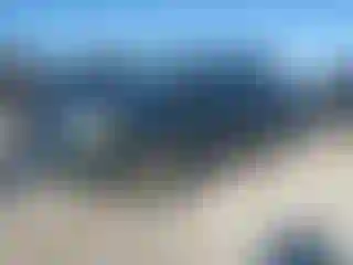 Vehicle Image- 2004 Toyota Tundra