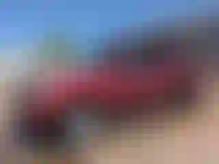 Vehicle Image- 2005 Toyota Tundra