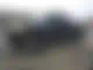 Vehicle Image- 2004 Toyota Tundra