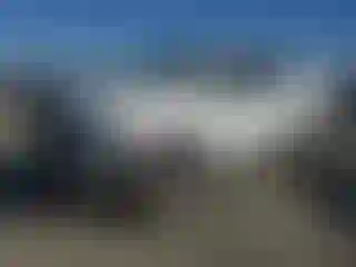 Vehicle Image- 2007 Toyota Tundra