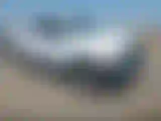 Vehicle Image- 2007 Toyota Tundra