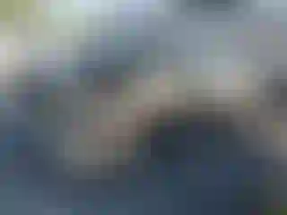 Vehicle Image- 2007 Toyota Tundra