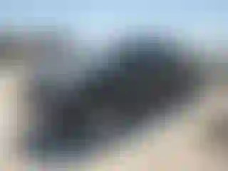 Vehicle Image- 2007 Toyota Tundra