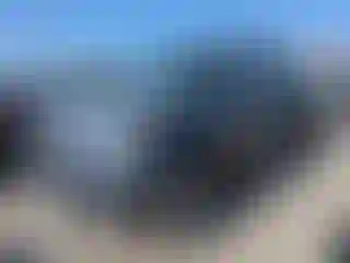 Vehicle Image- 2007 Toyota Tundra