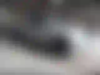 Vehicle Image- 2007 Toyota Tundra