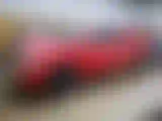 Vehicle Image- 2007 Toyota Tundra