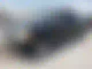Vehicle Image- 2006 Toyota Tundra