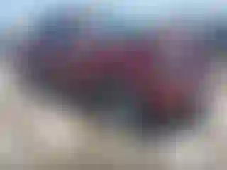 Vehicle Image- 2006 Toyota Tundra