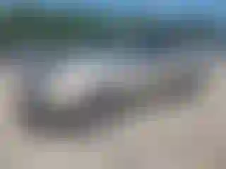 Vehicle Image- 2006 Toyota Tundra