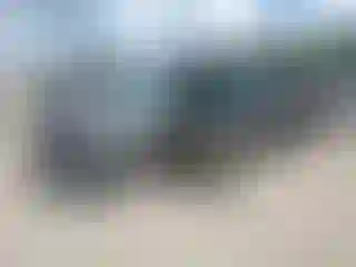 Vehicle Image- 2004 Toyota Tundra