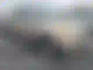 Vehicle Image- 2004 Toyota Tundra