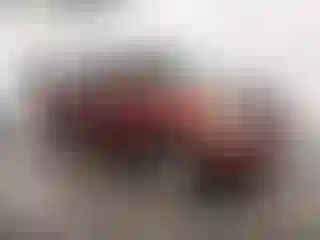 Vehicle Image- 2004 Toyota Tundra