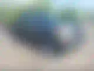 Vehicle Image- 2006 Toyota Tundra
