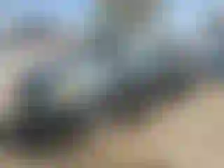 Vehicle Image- 2006 Toyota Tundra