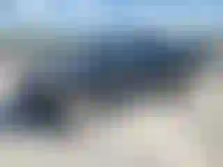 Vehicle Image- 2006 Toyota Tundra