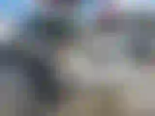 Vehicle Image- 2004 Toyota Tundra