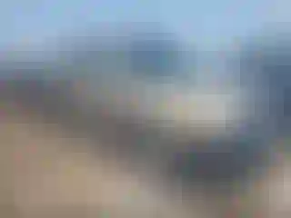 Vehicle Image- 2004 Toyota Tundra