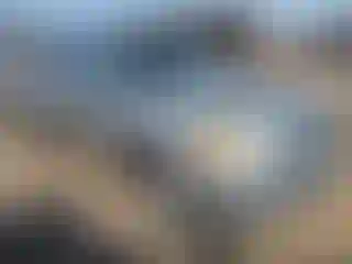 Vehicle Image- 2004 Toyota Tundra