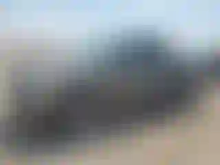 Vehicle Image- 2005 Toyota Tundra