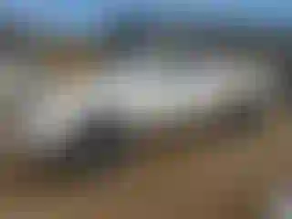 Vehicle Image- 2006 Toyota Tundra