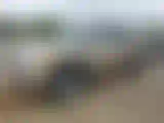 Vehicle Image- 2004 Toyota Tundra