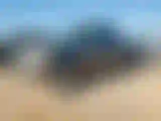 Vehicle Image- 2005 Toyota Tundra