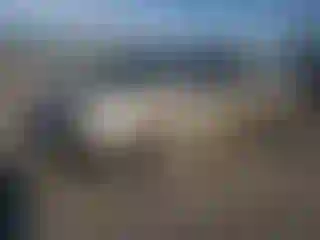 Vehicle Image- 2005 Toyota Tundra