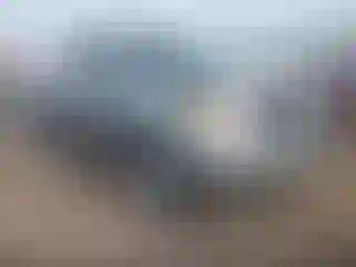 Vehicle Image- 2004 Toyota Tundra