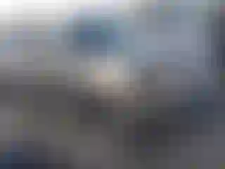 Vehicle Image- 2005 Toyota Tundra