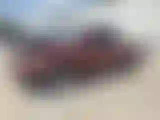 Vehicle Image- 2004 Toyota Tundra