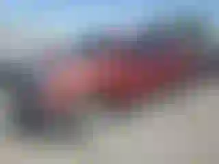 Vehicle Image- 2007 Toyota Tundra