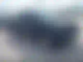 Vehicle Image- 2008 Toyota Tundra
