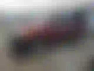 Vehicle Image- 2008 Toyota Tundra