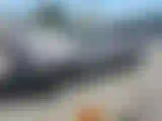 Vehicle Image- 2002 Toyota Tundra