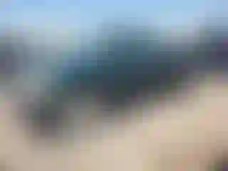 Vehicle Image- 2002 Toyota Tundra
