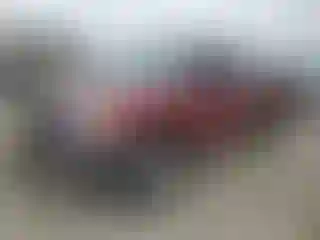 Vehicle Image- 2000 Toyota Tundra