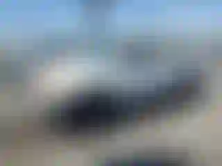 Vehicle Image- 2001 Toyota Tundra