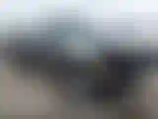 Vehicle Image- 2004 Toyota Tundra