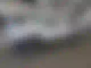 Vehicle Image- 2005 Toyota Tundra