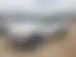 Vehicle Image- 2005 Toyota Tundra