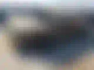 Vehicle Image- 2006 Toyota Tundra
