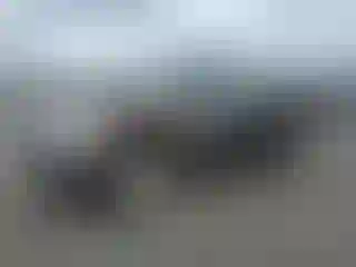 Vehicle Image- 2006 Toyota Tundra