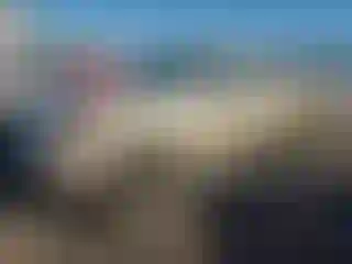 Vehicle Image- 2003 Toyota Tundra