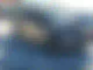 Vehicle Image- 2004 Toyota Tundra